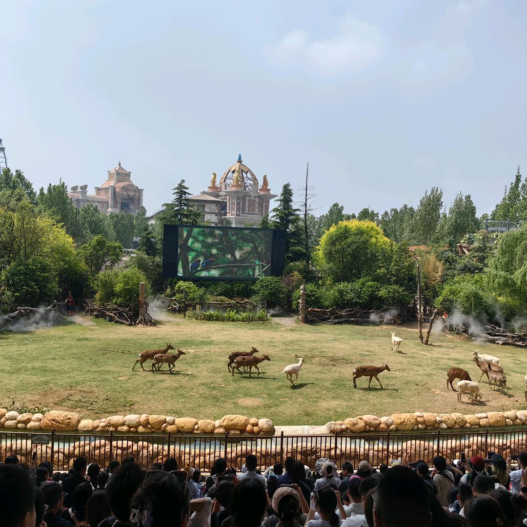 张姨（首播）