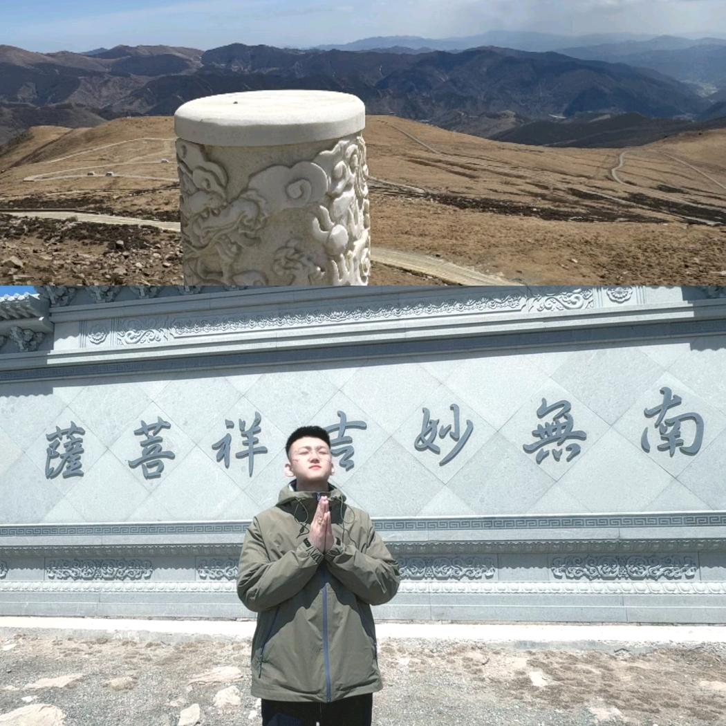 一只小白杨🐑