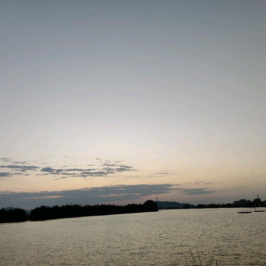 岛岛