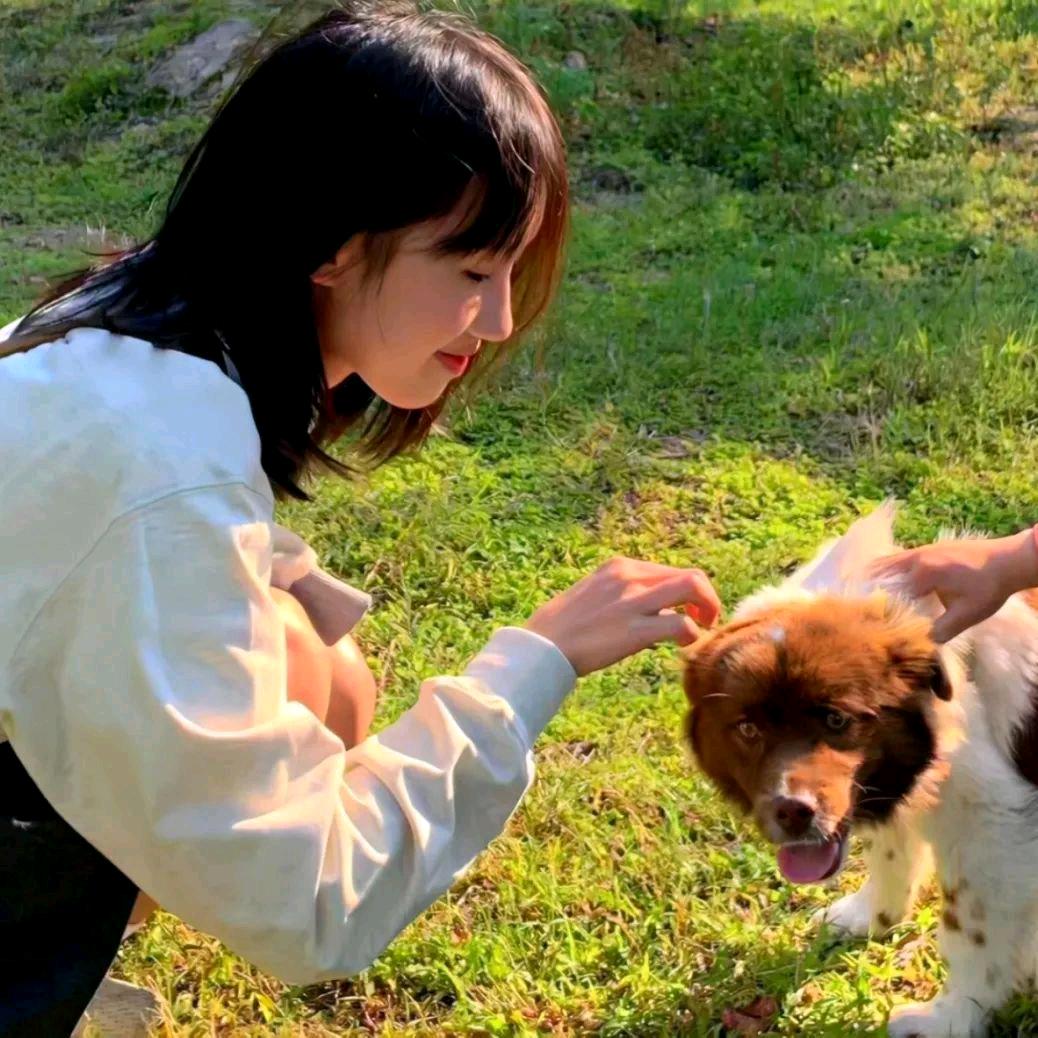 热爱生活的丹子姐