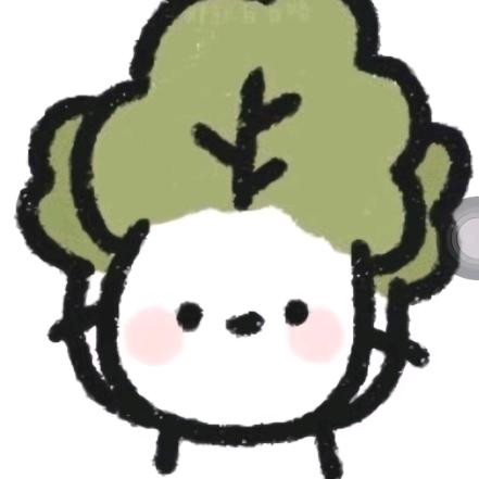 许婉清商贸行爆爆