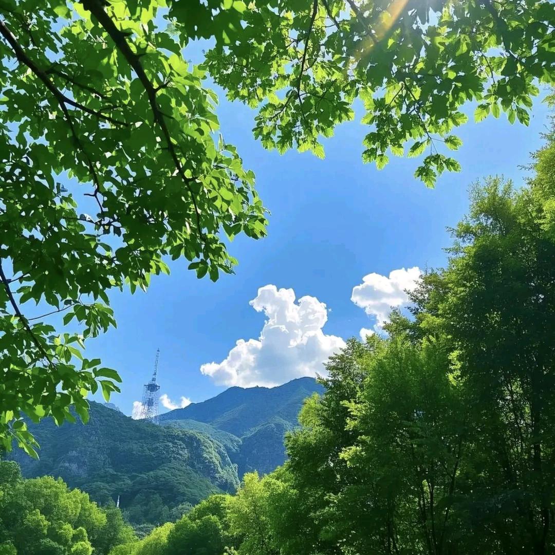 阿雪儿