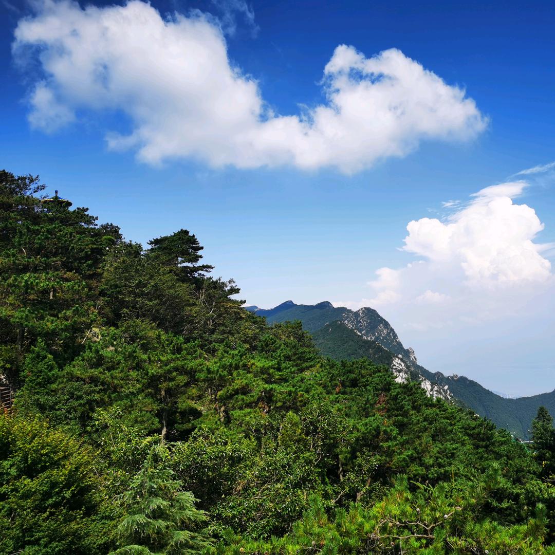 江州雁