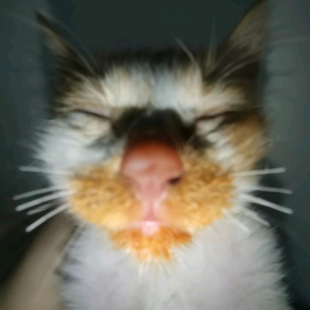 叉叉