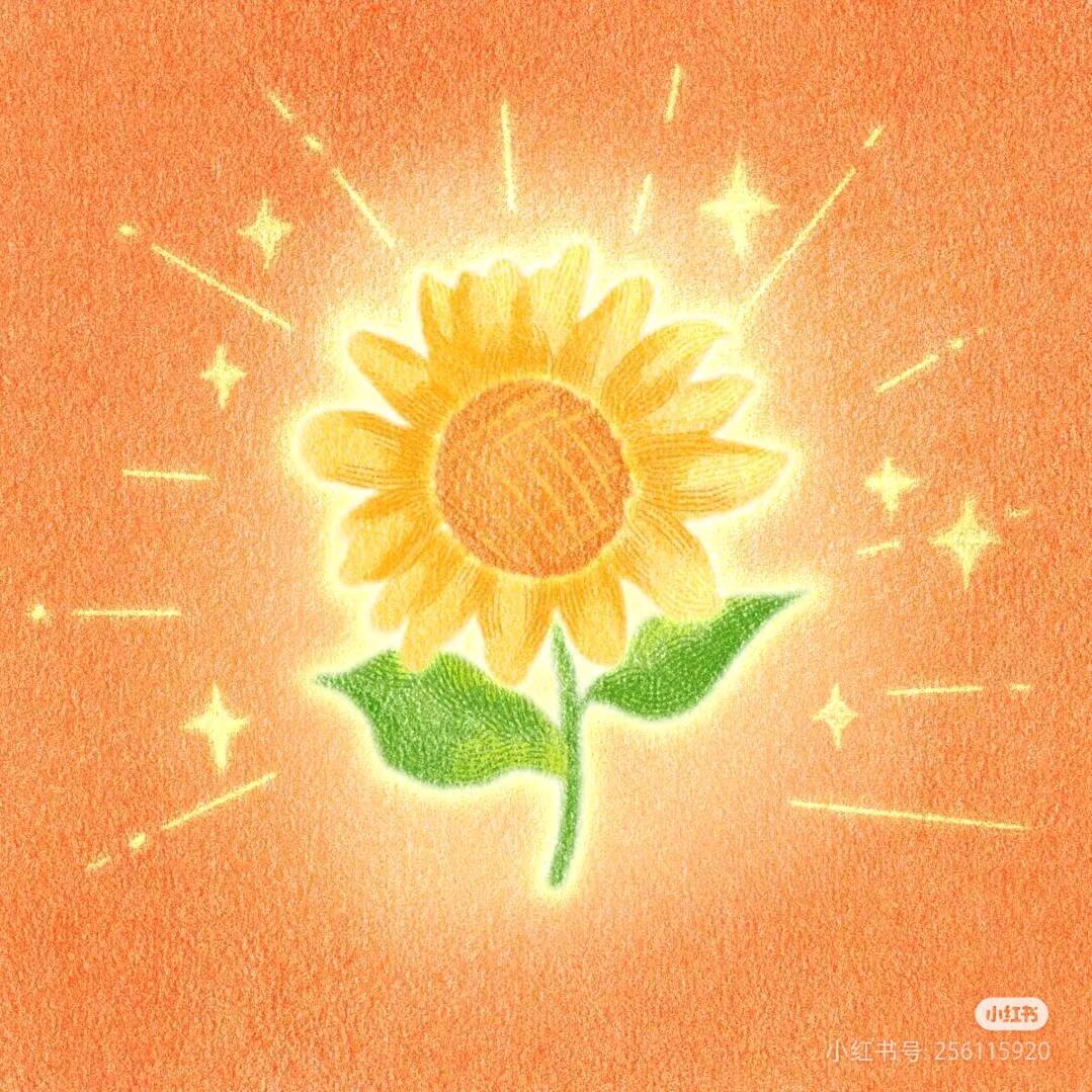向日葵🌻