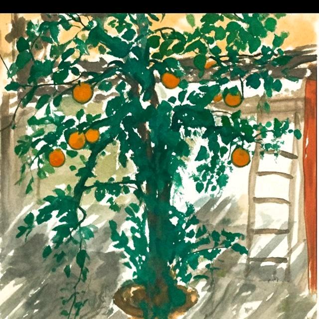 如是心东方食养漯河店