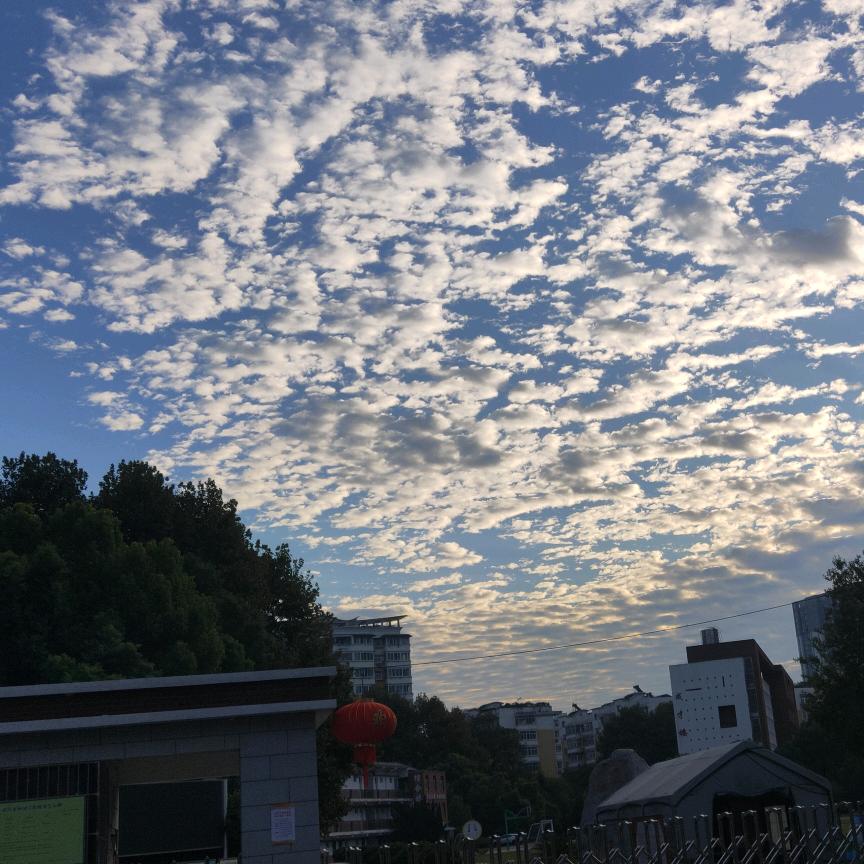 你的洛