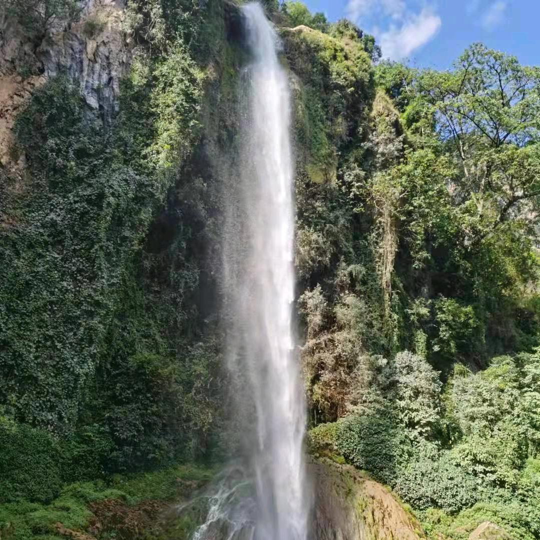 景景