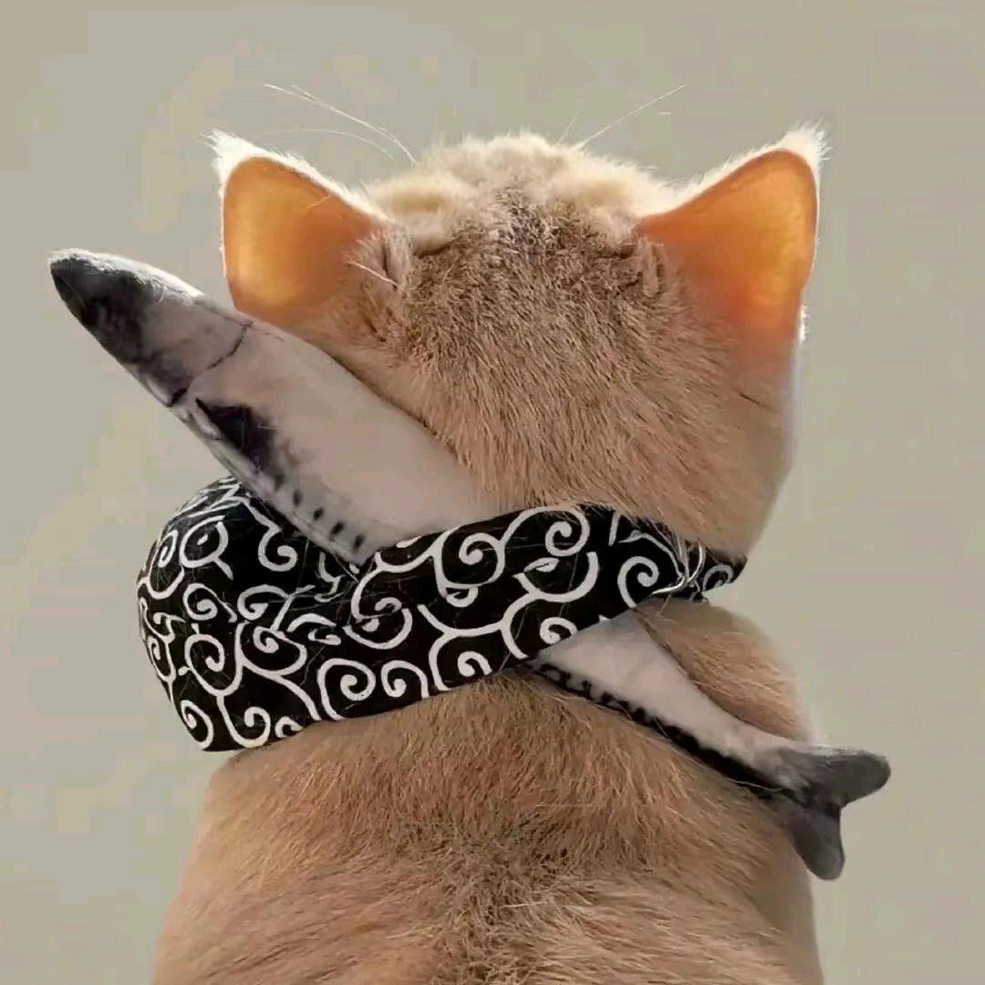 AAA平果贴汽车贴膜