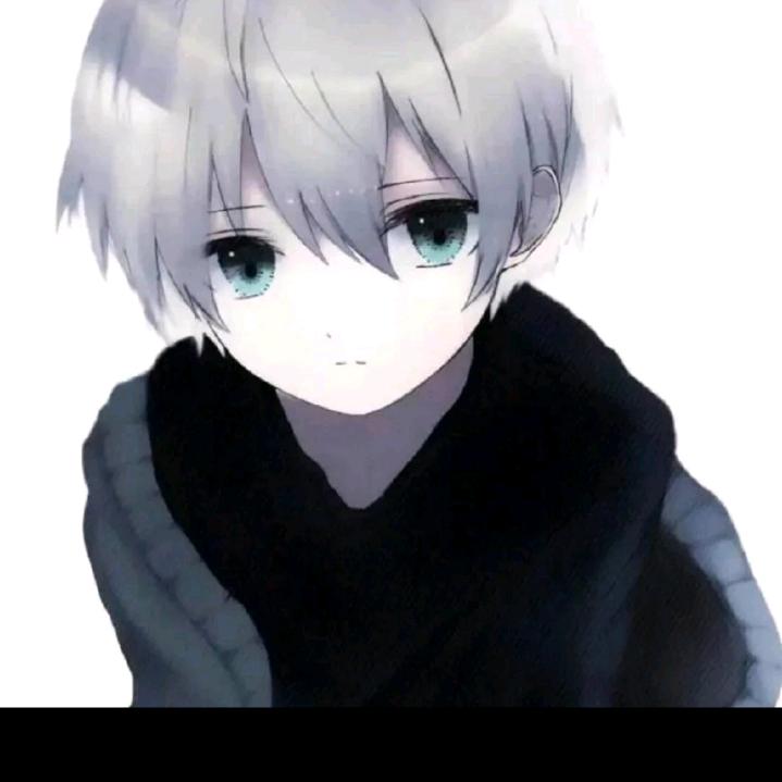 (11)