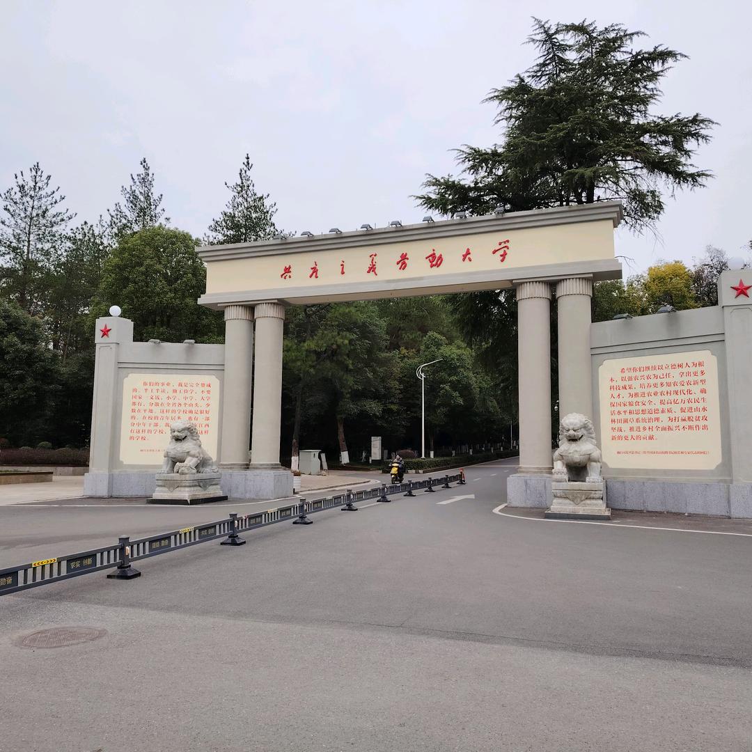 江农农硕研学长