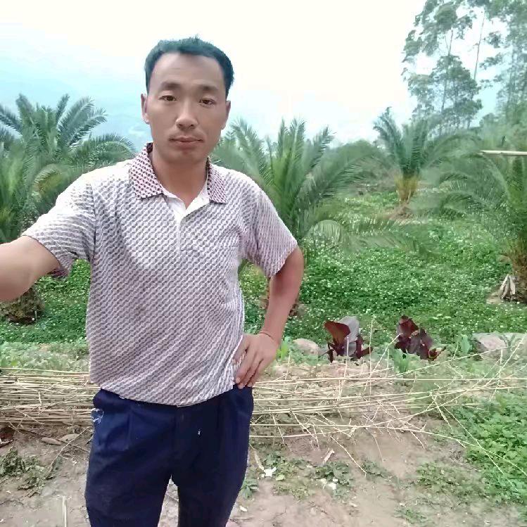 忘掉过去，从找未来。