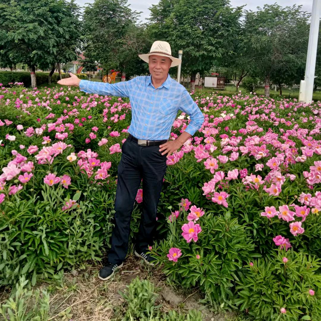 新川、一路走到今天不容易、离异单身退休、