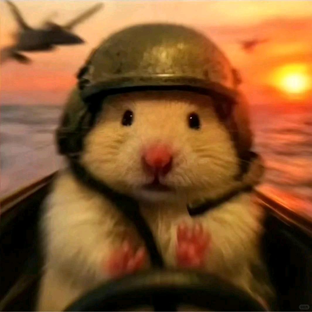 鼠哈哈(三角洲行动)