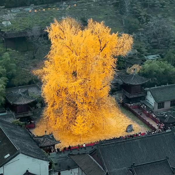 你来不来我都会老