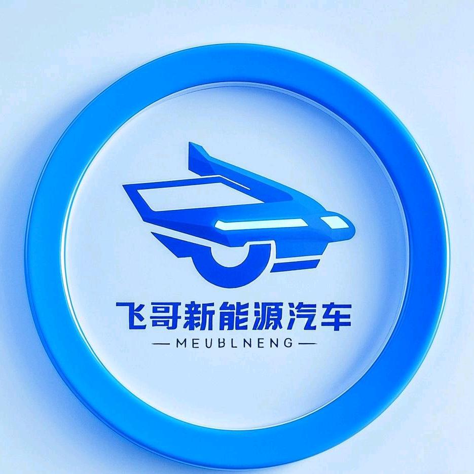 飞哥新能源汽车