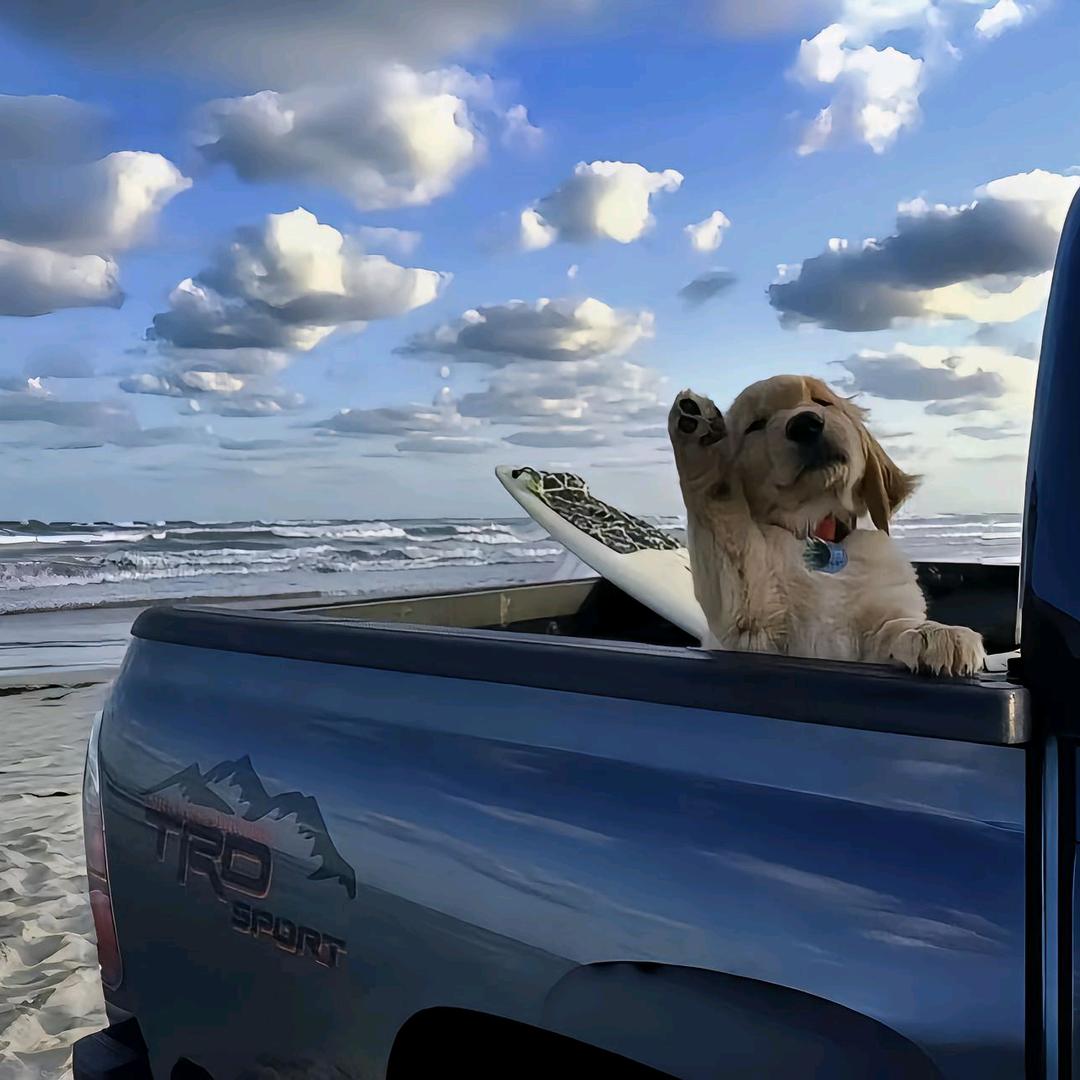 白嘻嘻了！！！