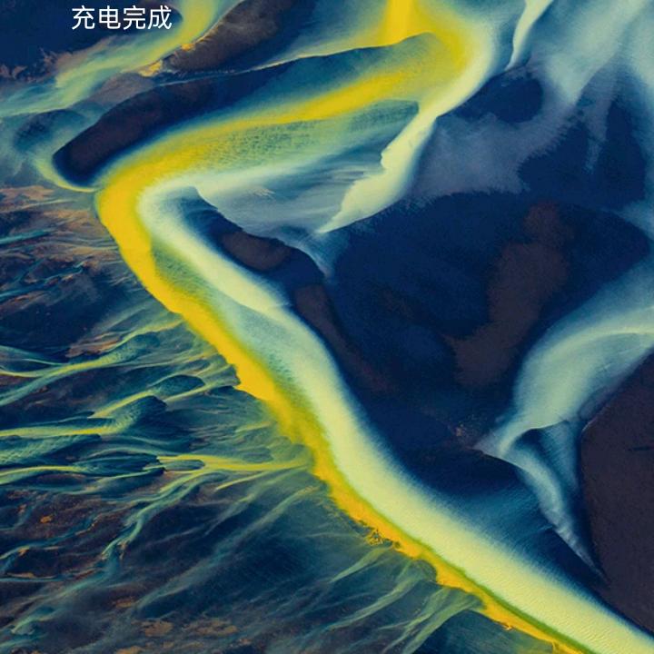 白荡发哥