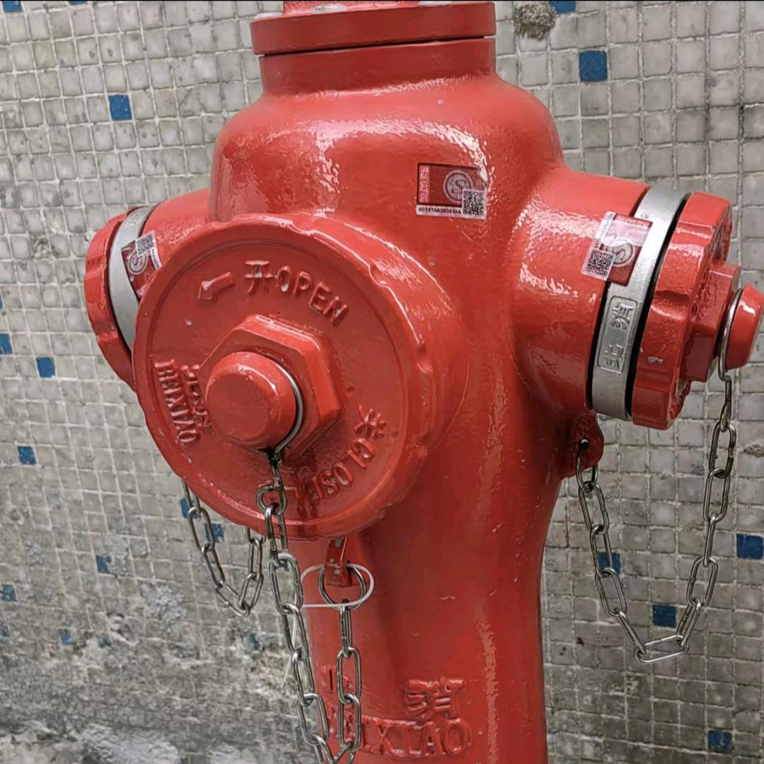 消防一级资质加盟分公司中叶消防 中吉天云