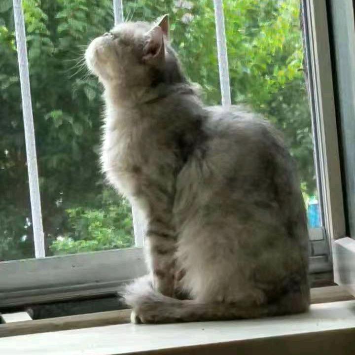 妍妍～