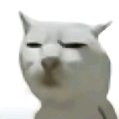 小兮宝