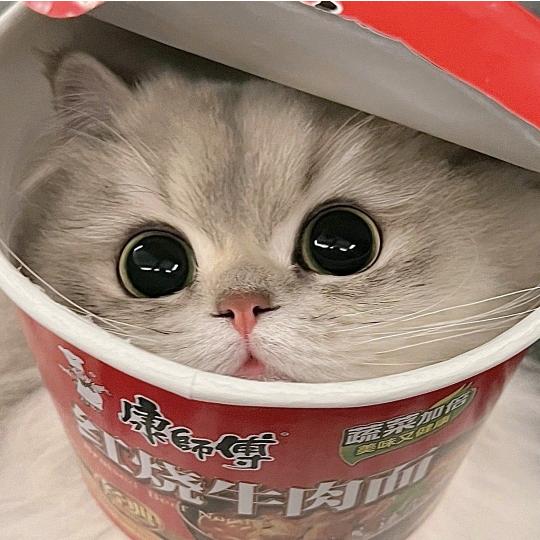 我思故我行