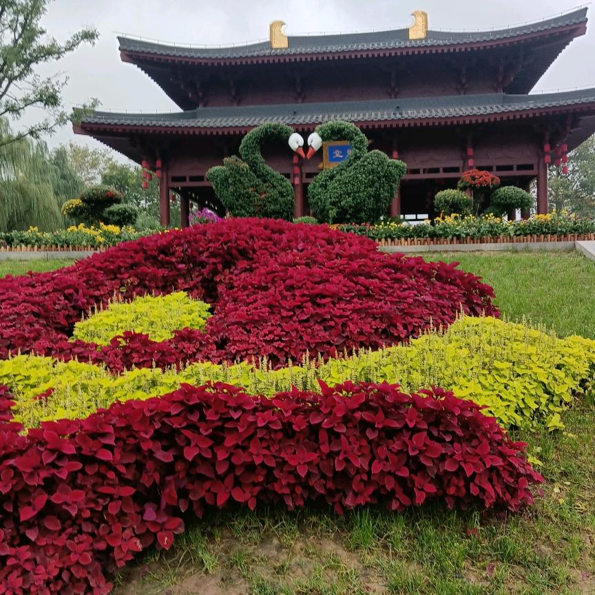 蓝天玉