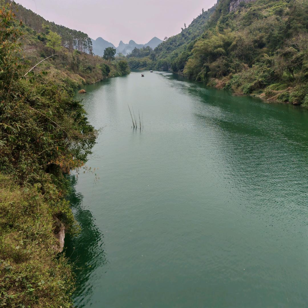 狼心❤️❤️傲月