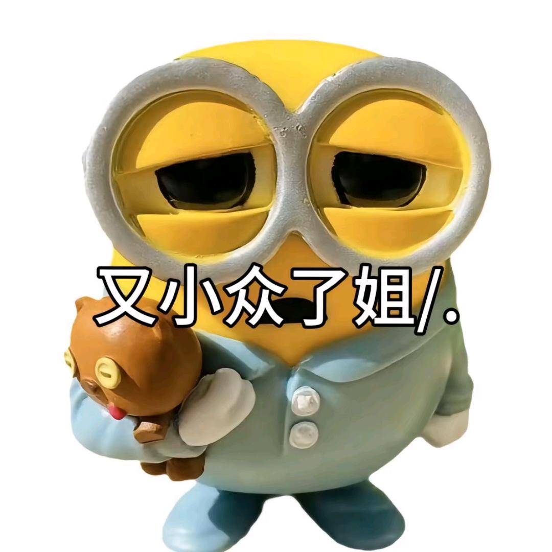 张圈圈