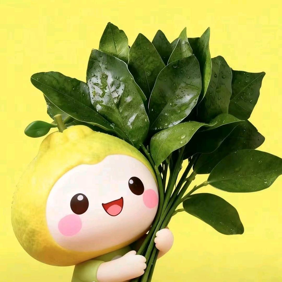 汇说