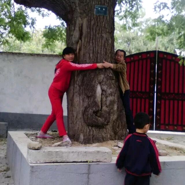 2626zhaoju