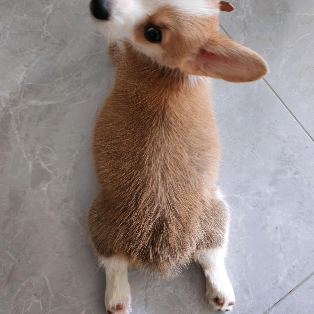 故事讲到哪儿了