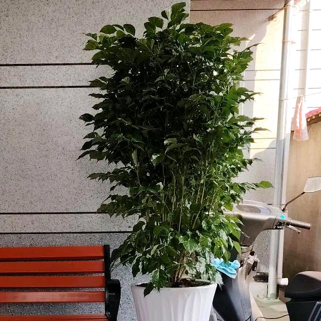 世态炎凉