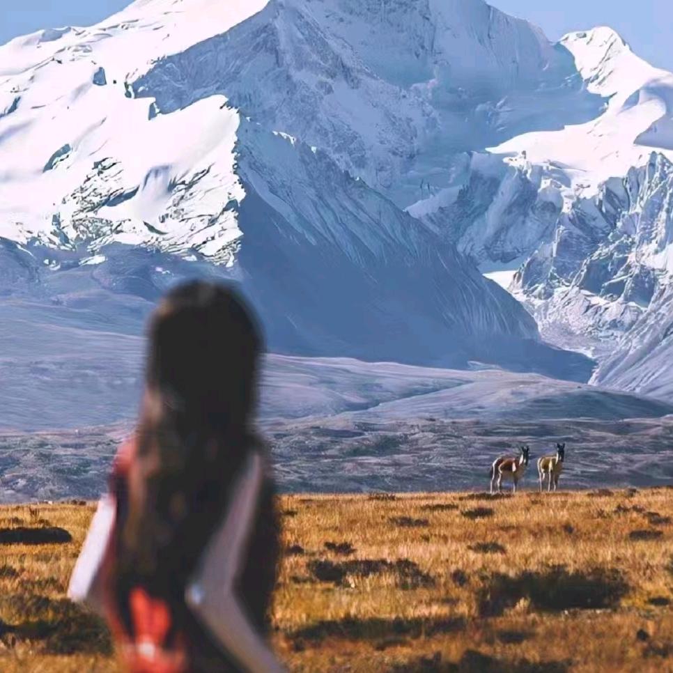 爆爆珠吖⁵¹¹（新人助力直播间）