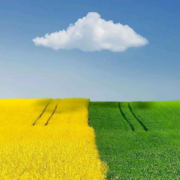 🌈坚持与、努力同在`