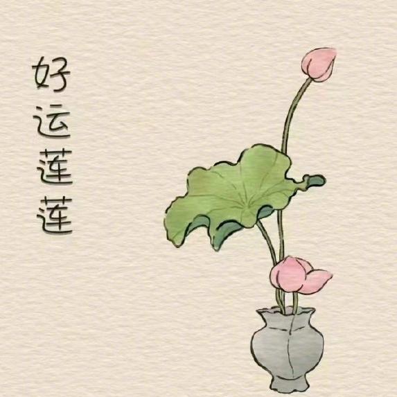 sunflower向阳而生