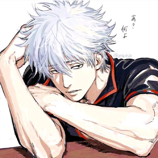 为什么不Jay电话