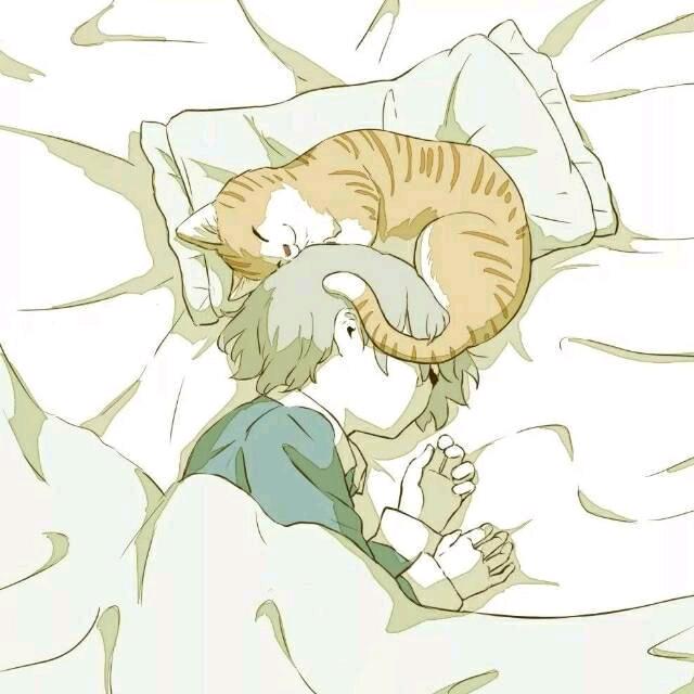 やり直す