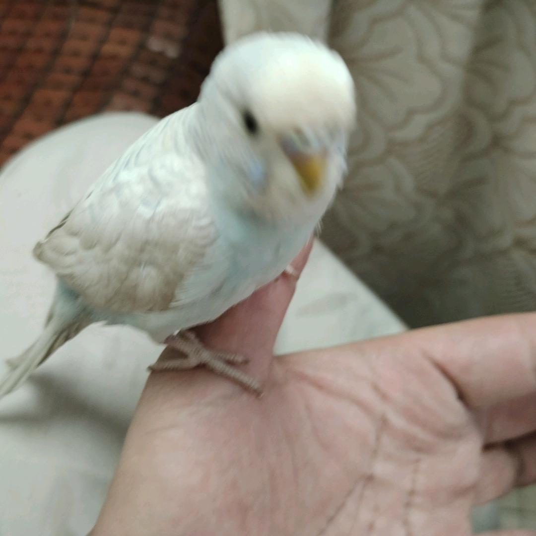 随缘1