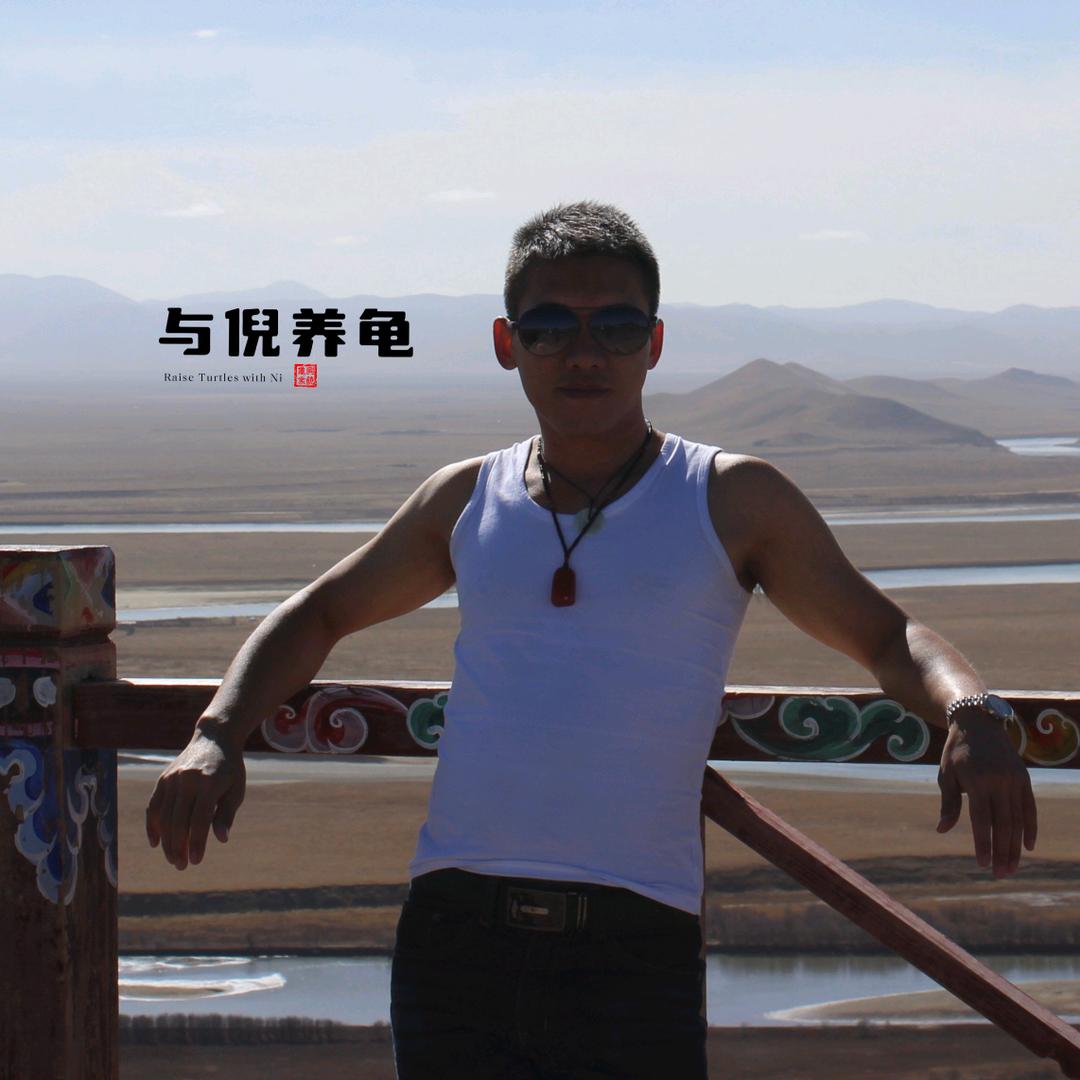 与倪养龟