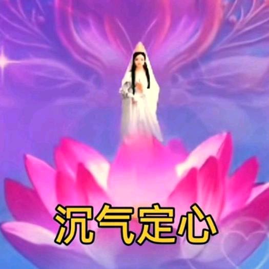 沉默不语
