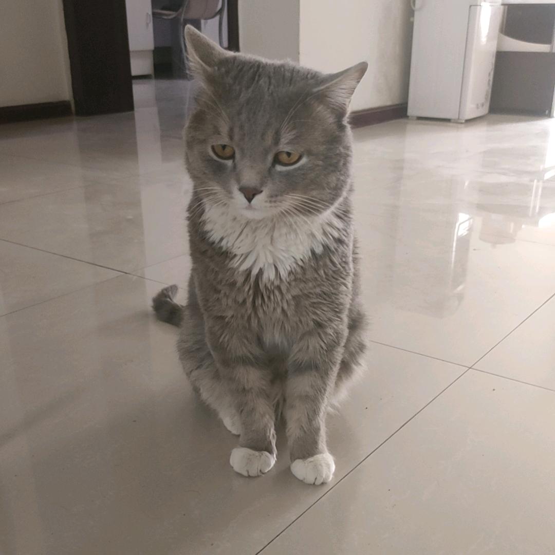 随缘