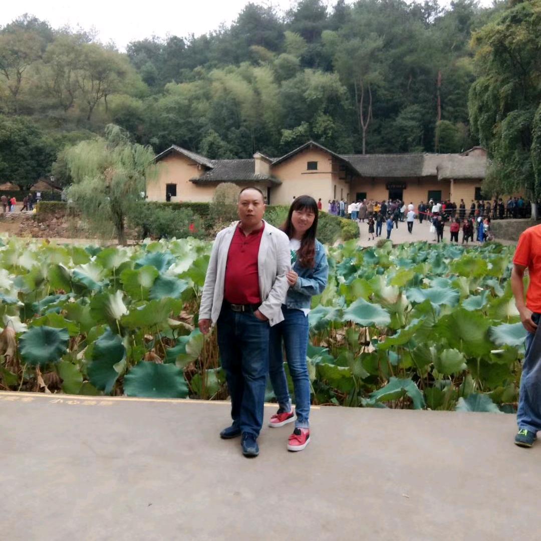 老桥一枝花