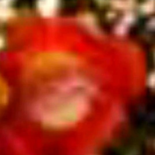 阿玲_1344875