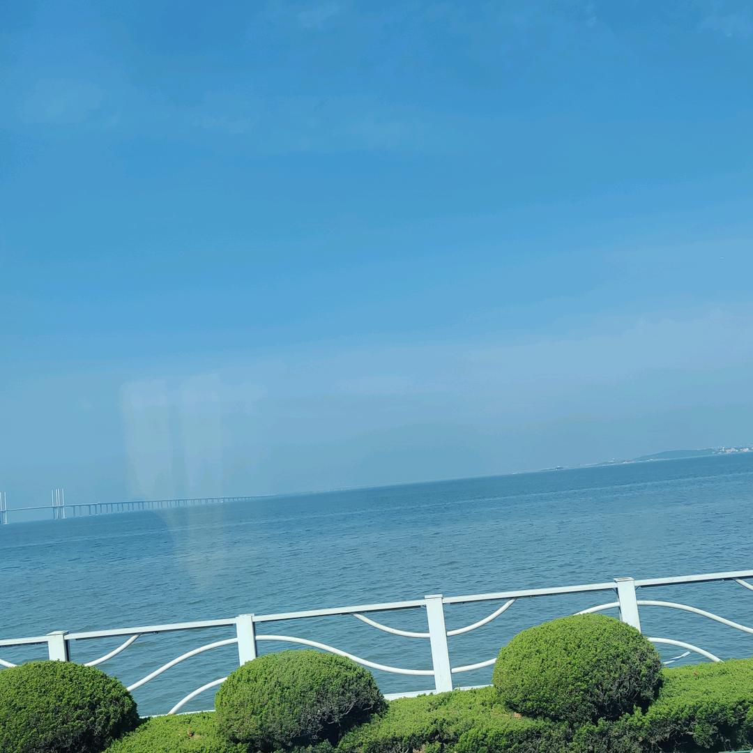 黛瑶