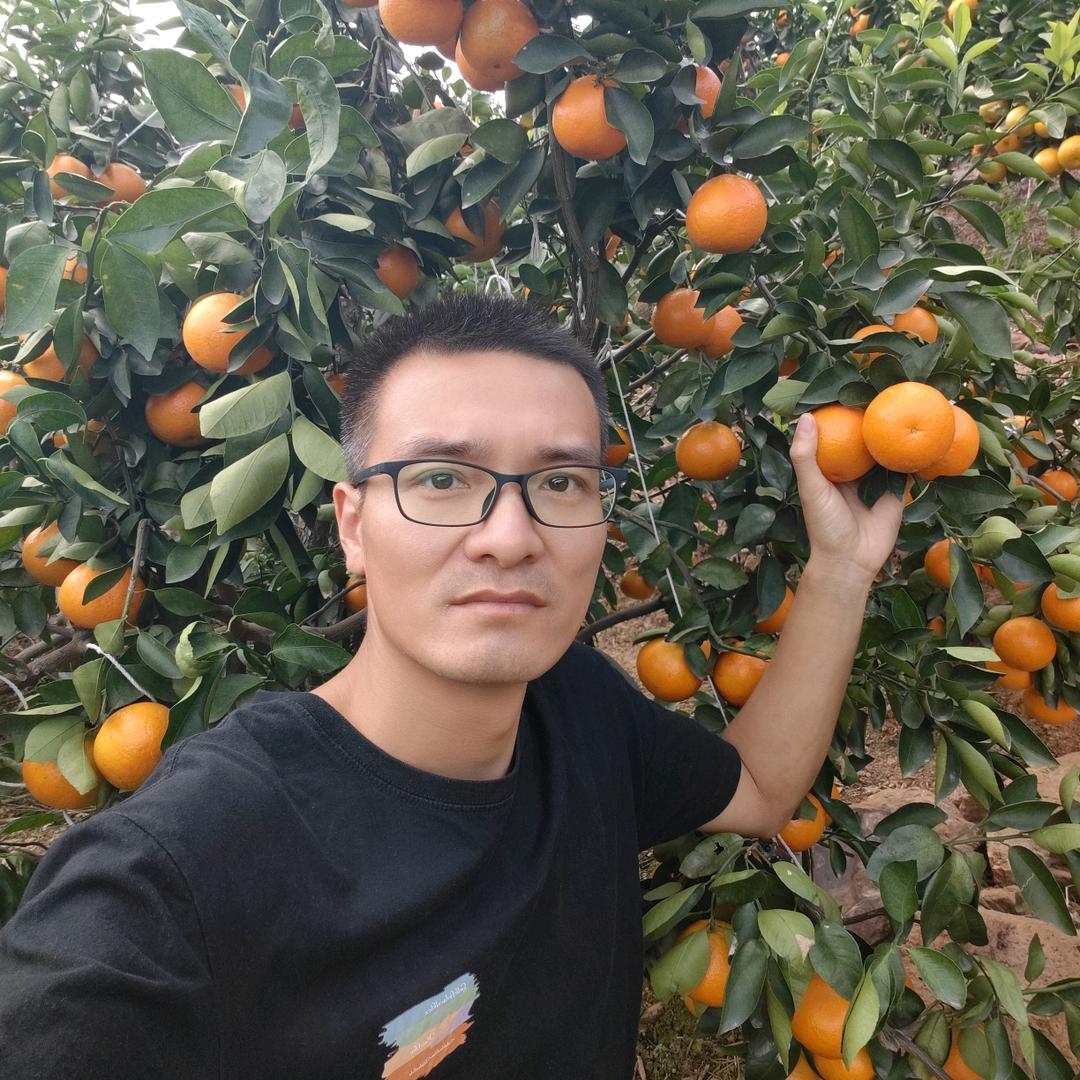 问道柑橘   孙继伟