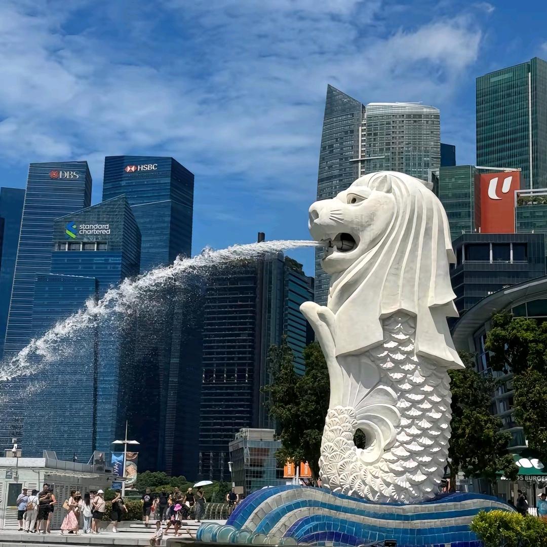 新加坡留学欢欢老师