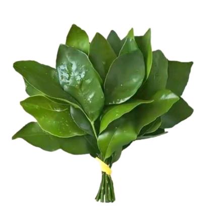 麻辣蚕蛹