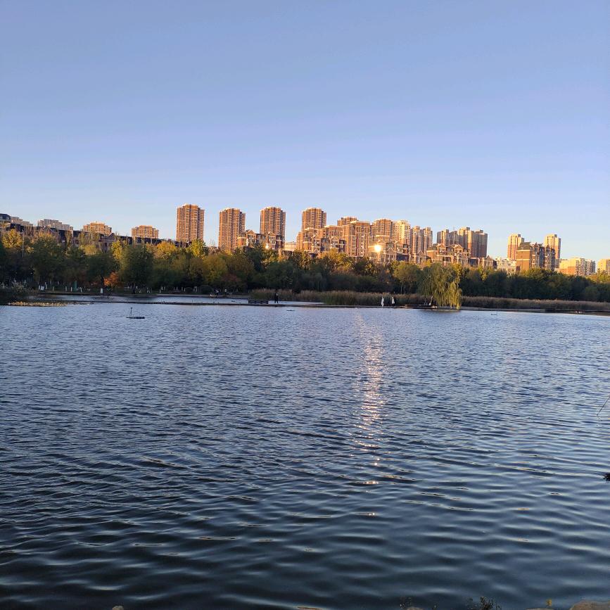 咖啡豆门窗定制🏡