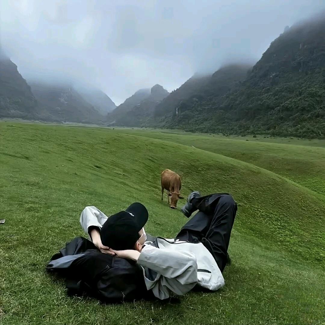 🇨🇳 迷途羔羊